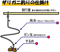 ザリガニ釣り